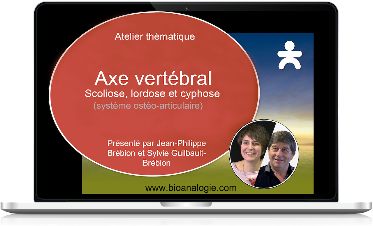 Bon de commande Atelier Axe vertébral